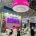 iGB Live 2023 Amsterdam