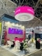 iGB Live 2023 Amsterdam